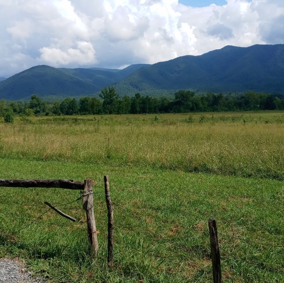 Meet your Posher, Shannon - Picture 1 of 1